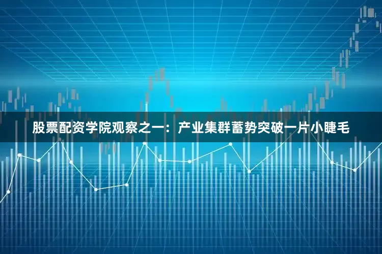 股票配资学院　　观察之一：产业集群蓄势突破　　一片小睫毛