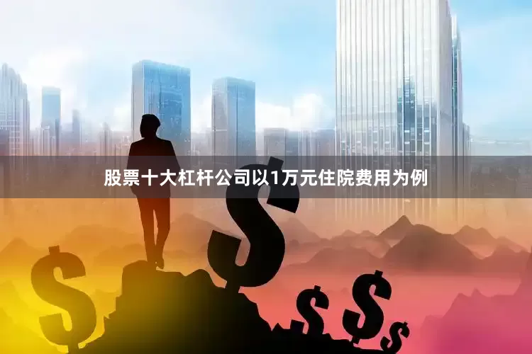股票十大杠杆公司以1万元住院费用为例